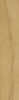 Dune Quercus Miele 22x120 ID 551064