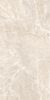 New Trend Terra Beige 60x120 ID 533995