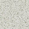 Pamesa Terrazzo Sagio 60x60 ID 536446